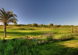 Boavista Golf Course  | Golfové zájezdy, golfová dovolená, luxusní golf