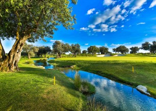 Quinta de Cima Golf Course  | Golfové zájezdy, golfová dovolená, luxusní golf