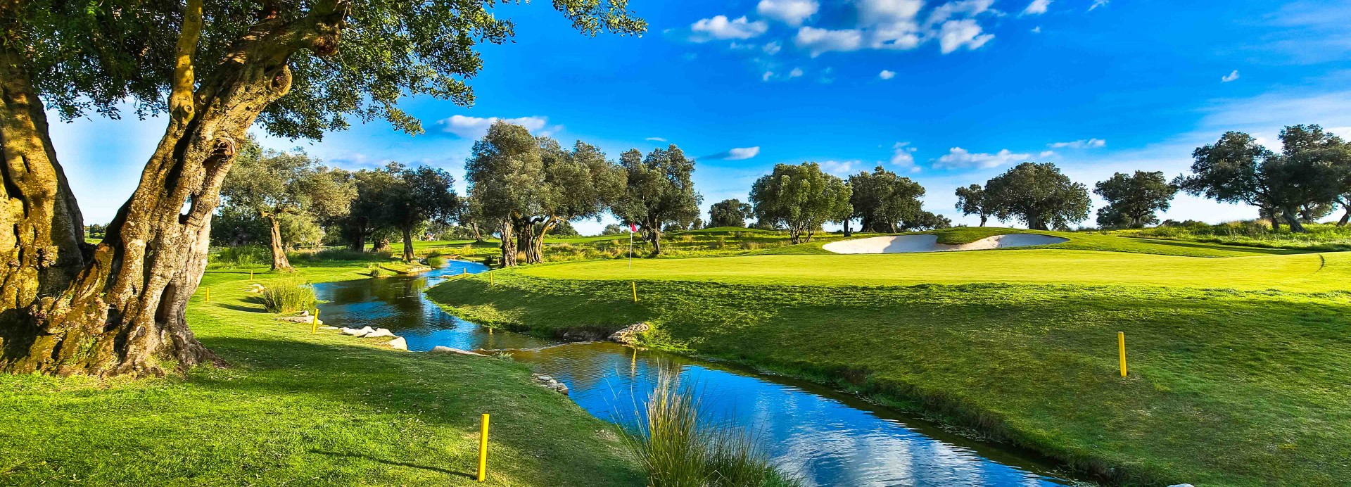 Quinta de Cima Golf Course  | Golfové zájezdy, golfová dovolená, luxusní golf