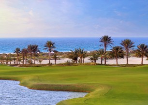 Saadiyat Beach Golf Club<span class='vzdalenost'>(92 km od hotelu)</span>