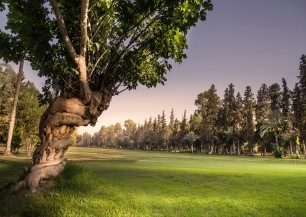 Royal Golf Marrakech<span class='vzdalenost'>(9 km od hotelu)</span>