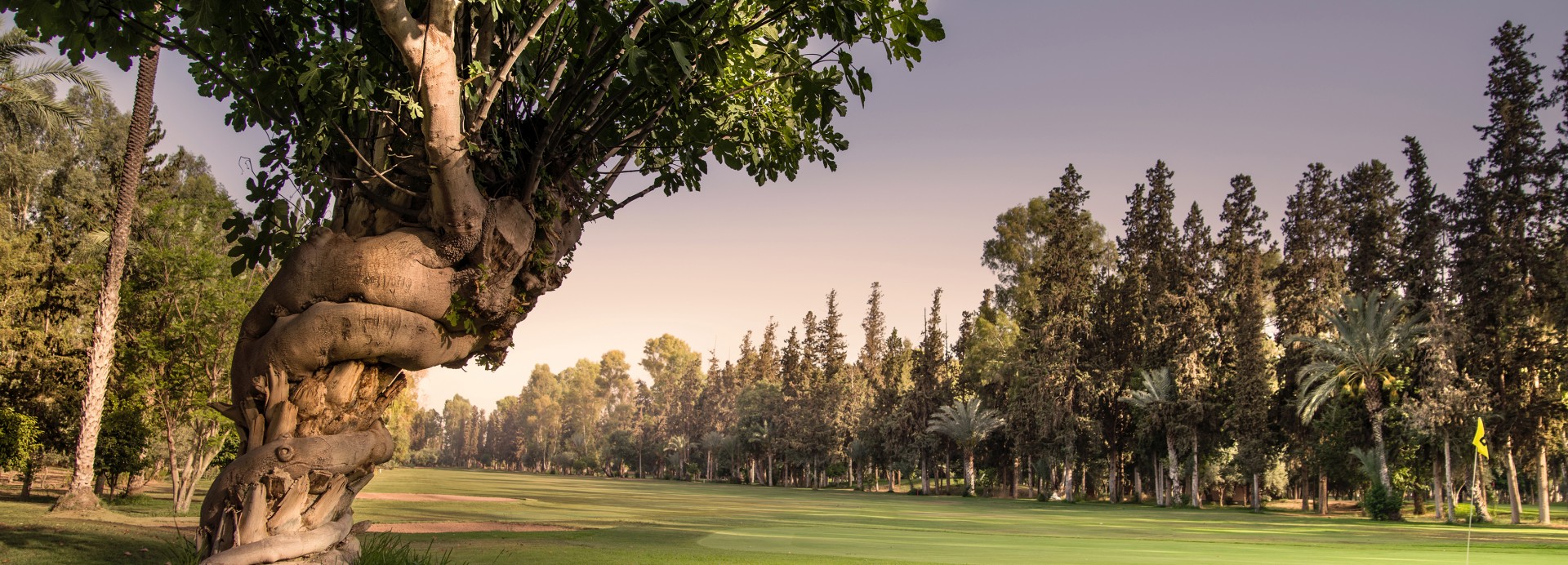 Royal Golf Marrakech  | Golfové zájezdy, golfová dovolená, luxusní golf