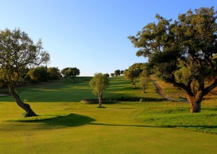 Montenmedio Golf & Country Club<span class='vzdalenost'>(266 km od hotelu)</span>