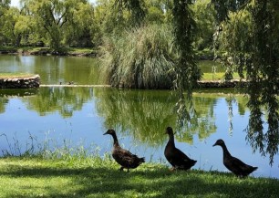 Club de Campo Mendoza