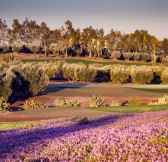 Assoufid Golf Club | Golfové zájezdy, golfová dovolená, luxusní golf