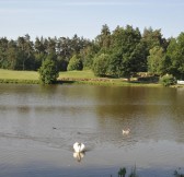 Golf Resort Františkovy Lázně | Golfové zájezdy, golfová dovolená, luxusní golf