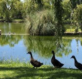 Club de Campo Mendoza | Golfové zájezdy, golfová dovolená, luxusní golf