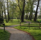 GOLF CLUB PODĚBRADY | Golfové zájezdy, golfová dovolená, luxusní golf