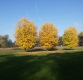 GOLF CLUB PODĚBRADY | Golfové zájezdy, golfová dovolená, luxusní golf