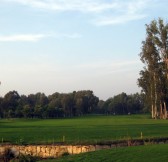 Kaya Palazzo Golf Club | Golfové zájezdy, golfová dovolená, luxusní golf