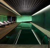 005932-02-dark-spa-pool