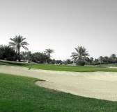 Jebel Ali Golf4