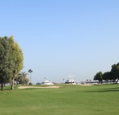 Jebel Ali Golf16