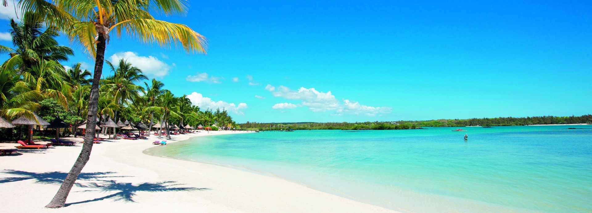 constance le prince maurice  *****