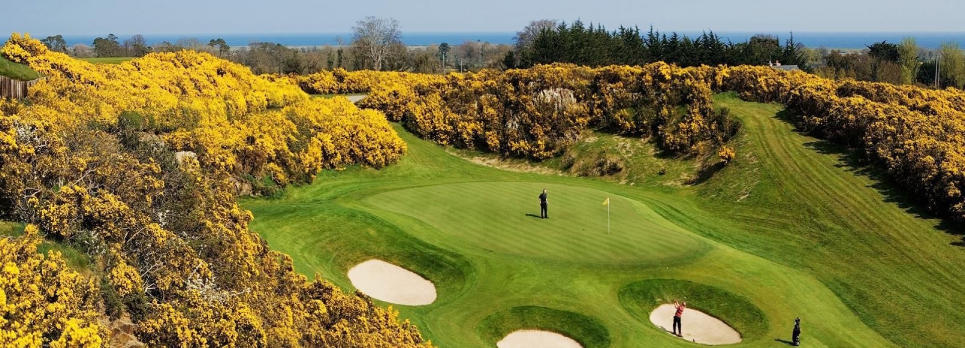 dublin + druids glen resort - golf let  *****