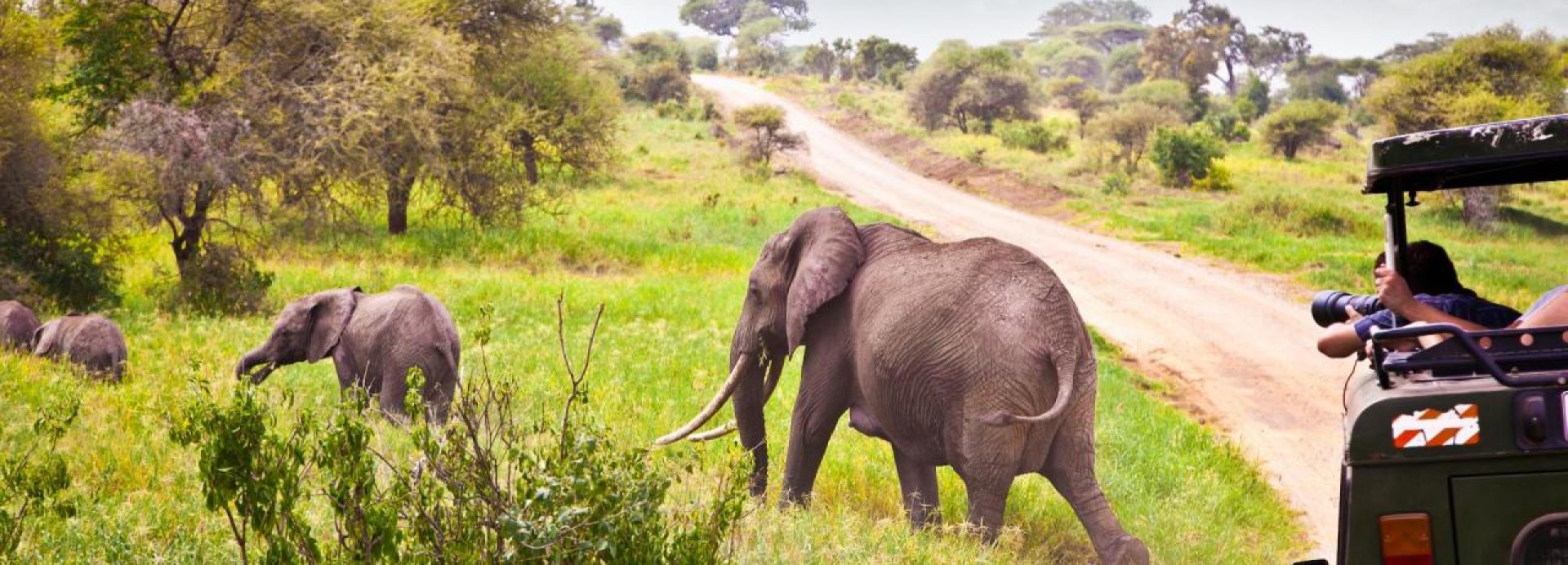 safari v tanzánii + relax na zanzibaru  s českým průvodcem  