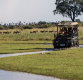 Botswana-Okavango-Jao-Camp-Safari-2