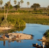 Botswana-Okavango-Jao-Camp-Safari-17