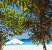 Amanpulo, Philippines - Beach, Sun Lounger and Coconut Tree_23541
