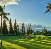 Havaj-Maui-The-Ritz-Carlton-Maui-Kapalua-golf-8