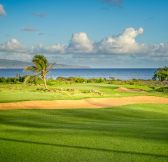 Havaj-Maui-The-Ritz-Carlton-Maui-Kapalua-golf-9