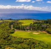 Havaj-Maui-The-Ritz-Carlton-Maui-Kapalua-golf-10