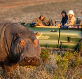 Jar-Gondwana-Private-Game-Reserve-37