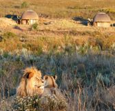 Jar-Gondwana-Private-Game-Reserve-38