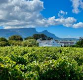 Golf-Jar-Kapske-mesto-hotel-_Steenberg-5