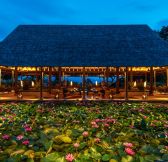 MALAJSIE - The Datai Langkawi - The_Lobby_-_Lily_pond