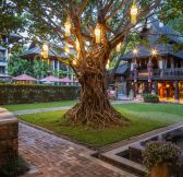 Chala Number 6 Hotel Chiang Mai 1