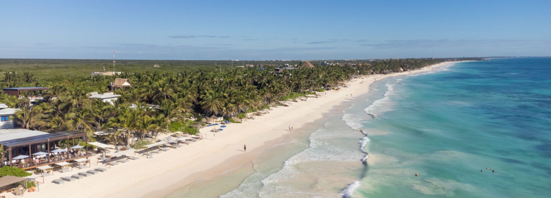 la zebra tulum  *****